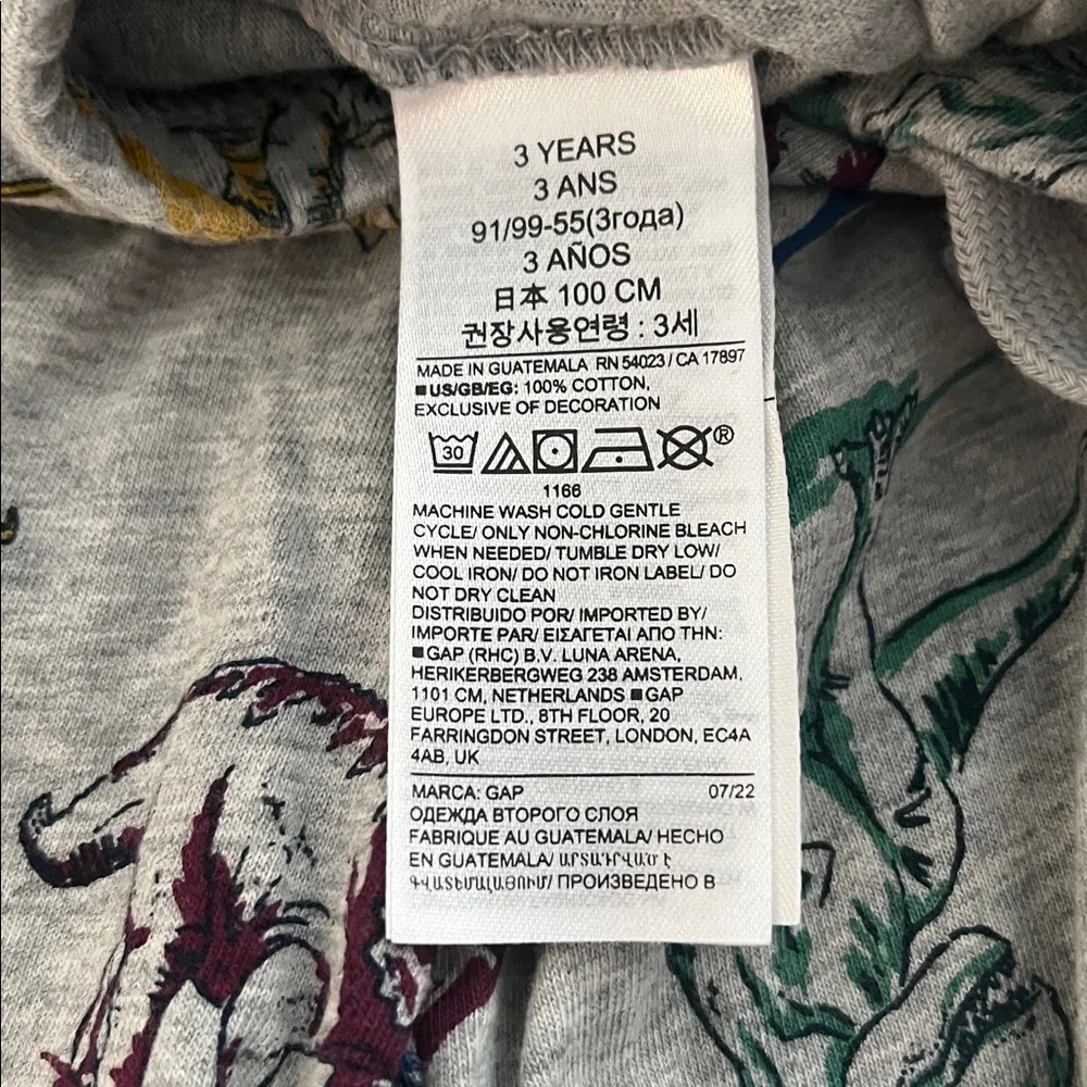 GAP Gray Dinosaur Print Joggers - 3T - Picture 5 of 6